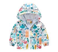 Blouson Garçon Fille Vestes Coupe Vent Garçons Blousons de Léger Manteaus Capuche Réversible Doublé Enfant Randonnée Printemps Pour Concert Plein Air