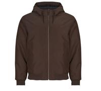 Blouson hommes Element DULCEY Bordeaux EU M