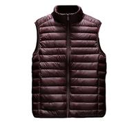 Blouson sans Manche Homme Hiver Gilet Zippé, Gilets Épais Automne Et Hiver Vestes Chaud Ultra Légère Manteau sans Capuche Fermeture Blouson Mode Et Simple Décontracté pour Tous Les Jours