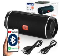 BLOW BT460 Enceinte portable stéréo Noir, Argent 10 W