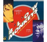 Blow Monkeys - Celebrate The Day