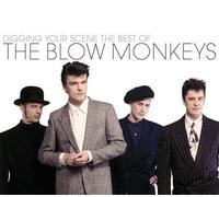 Blow Monkeys - Digging Your Scene: Best [Import]