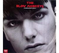 BLOW MONKEYS - FORBIDDEN FRUIT 12 INCH (12" SINGLE) UK RCA 1985