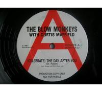 Blow Monkeys, The - With Curtis Mayfield - (Celebrate) The Day After You