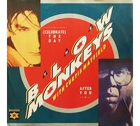 BLOW MONKEYS WITH CURTIS MAYFIELD - CELEBRATE THE DAY AFTER YOU 7" (45) UK RCA 1987 B/W BEAUTIFUL CHILD (MONK6) PIC SLEEVE