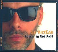 Blowin' In The Past : Intégrale 1973-1983