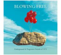 Underground & Progressive Sounds Of 1972 Coffret CD