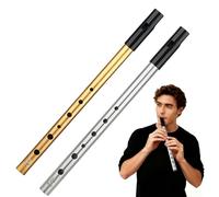 BLPRKOT 2 Pièces Flûte Irlandaise Tin Whistle Tonalité D Son Exceptionnel Flûte à Bec Pour Débutants Amateurs de Musique avec Étui Protecteur
