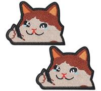 BLPRKOT 2 Pièces Funny Cat Embroidered, Tactical Patch for Clothes, Backpack, Jackets, Dog Harness