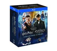 Wizarding World : Harry Potter 1 à 7, Les Animaux fantastiques 1 à 3 Blu-ray