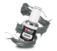 BLU Stylo de Retouche de Peinture Gris Compatible avec Ford 2MWE Magnum Grey | Réparation de Peinture Automobile