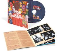 Magical Realism : The Best Of The Blue Aeroplanes 1985-2025