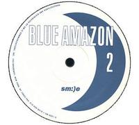 Blue Amazon - No Other Love