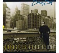 BLUE BLOT - Bridge to Your Heart [Import]