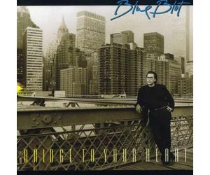 BLUE BLOT - Bridge to Your Heart [Import]