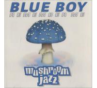 Blue Boy - Remember Me Remixes