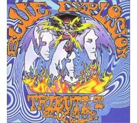 Blue Cheer.=tribute= - Blue Explosion, a Tribute
