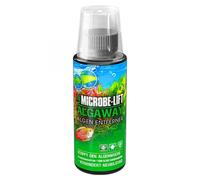 BLUE CORAL-Algicide microbe-lift efficace, sans danger pour les poissons, ARKA - modèle Algaway - 118ml