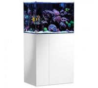 BLUE CORAL-Aquarium de 190 litres avec son meuble et sa cuve de filtration d'un volume de 55 litres