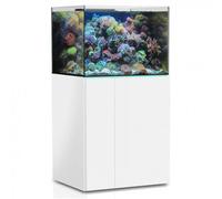 BLUE CORAL-Aquarium de 245 litres avec son meuble et sa cuve de filtration d'un volume de 55 litres
