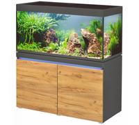 BLUE CORAL-Aquarium en graphite naturel, LED, EHEIM AQUARIUM Incpiria 430 - 430L