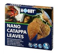 BLUE CORAL-Feuilles de badamier nano catappa, pack de 12, HOBBY