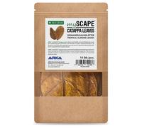 BLUE CORAL-Feuilles de Badamier naturelles taille M, ARKA mySCAPE-Catappa - 10 pièces de 16.5/20 cm