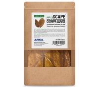 BLUE CORAL-Feuilles de badamier taille L - ARKA mySCAPE-Catappa - 20,5/27cm - 10 pièces