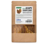 BLUE CORAL-Feuilles de badamier taille S, ARKA myScape-Catappa - 10 pièces de 12,5/16 cm