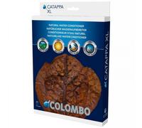BLUE CORAL-Feuilles de badamier x10 - Catappa XL - COLOMBO