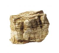 BLUE CORAL-Light Pagode, taille L de 4,8-5,2 kg, AQUA DECO - vendue à l'unité