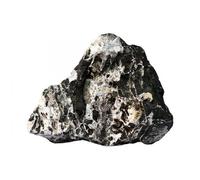 BLUE CORAL-Pierre décorative Leopard Stone AQUA DECO taille M - 2.3 à 2.7kg, vendue à l'unité