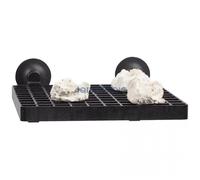 BLUE CORAL-Planche de frag pour aquariophilie AQUA MEDIC - format 15x15cm