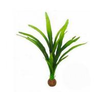 BLUE CORAL-Plante artificielle d'aquarium Cryptocoryne balansae - SUPERFISH Easy Plants