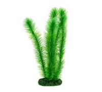 BLUE CORAL-Plante artificielle pour aquarium, rotala, 30cm, AQUA NOVA