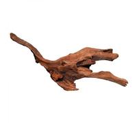 BLUE CORAL-Racine de mangrove naturelle pour aquarium SUPERFISH - 30 cm