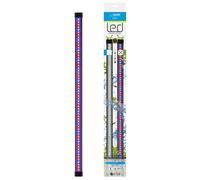 BLUE CORAL-Rampe LED complémentaire pour aquarium Ciano - CIANO CLA60 Plants