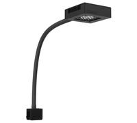 BLUE CORAL-Spot LED pour aquarium d'eau de mer, 9000 K, AQUA MEDIC, modèle Qube 40