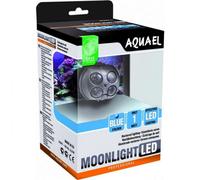 BLUE CORAL-Spot submersible LED bleu LEDDY Moonlight LED - AQUAEL