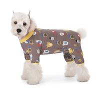 Blue Dream Island Combinaison de convalescence pour petit chien, combinaison à 4 pattes, combinaison de protection anti-léchage pour soins post-opératoires, pyjama mignon pour chiot avec entrejambe