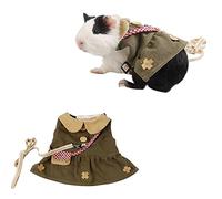 Blue Dream Island Harnais pour cochon d'Inde avec laisse, ensemble de robe mignonne pour petit animal, harnais réglable pour sports de plein air lapin vêtements_L (vert)