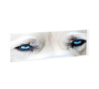 Blue Eyes Wolf - Panneaux de table rectangulaires en acrylique - Plaques d'identification personnalisées transparentes pour bureau, restaurant, événements - Signalisation professionnelle à bord lisse.