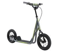 BLUE GORILLAZ Trottinette Enfant 2 Roues pour garçons et Filles de 7-10 Ans | Patinette Enfant 12 Pouces Sportif | Gris