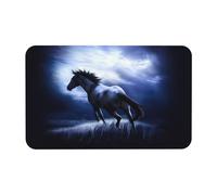 Blue Horse Tapis de bain en diatomée absorbant pour salle de bain Tapis d'entrée Tapis de chambre en caoutchouc