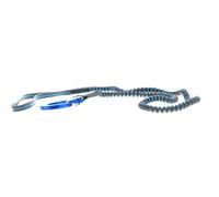 BLUE ICE Solo Leash - Mixte - Gris / Bleu - taille Unique- modèle 2024