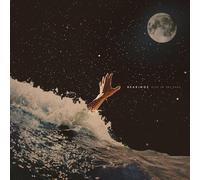 Blue in the Dark – The Orchard