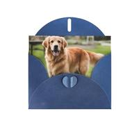 Blue JKIEGOQ Carte de vœux avec imprimé Golden retriever 10,2 x 15,2 cm pour Noël, Saint-Valentin, mariage, fête