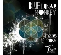 BLUE LUNAR MONKEY - HERE & NOW CD NEUF