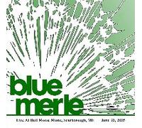 Blue Merle - Live at The Bull Moose [Import]