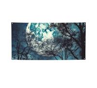 Blue Moon Bannières et panneaux de décoration de fête pour extérieur et intérieur - Bannière personnalisée avec œillets - Toile de fond d'anniversaire, affiche de fond pour photo pour mariage